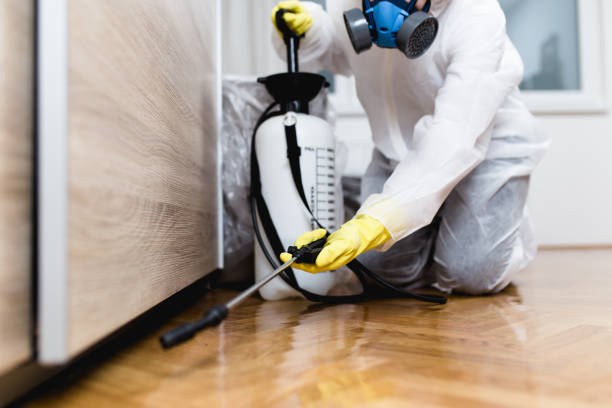 Best Affordable Pest Control Services  in Five Points, NC