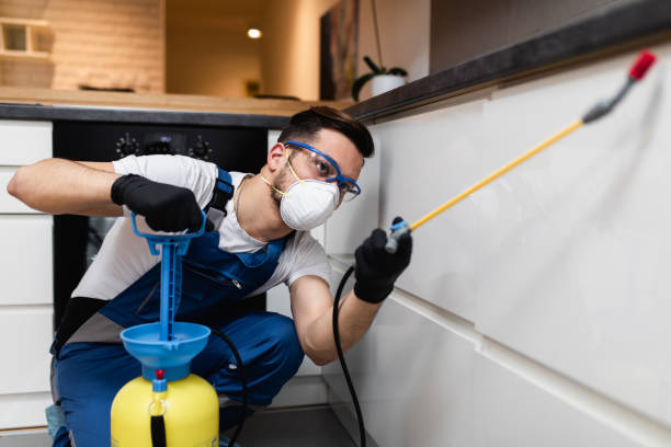 Best Emergency Pest Control  in Five Points, NC