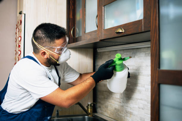 Best Pest Prevention Services  in Five Points, NC