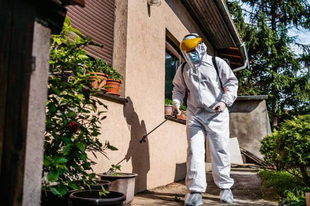 Best Bed Bug Extermination  in Five Points, NC