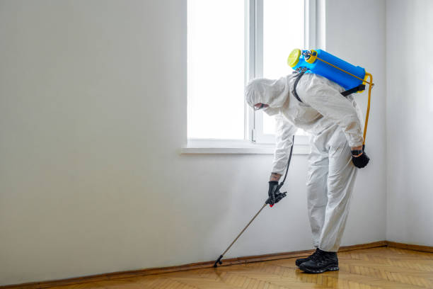 Best Commercial Pest Control Services  in Five Points, NC