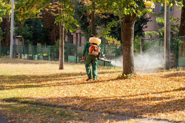 Best Exterminator Services  in Five Points, NC